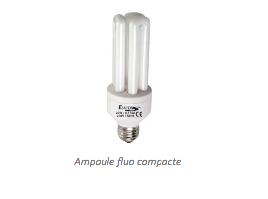 Ampoule fluorescente